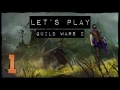 Let's Play Guild Wars 2 - EP1, In the First Game