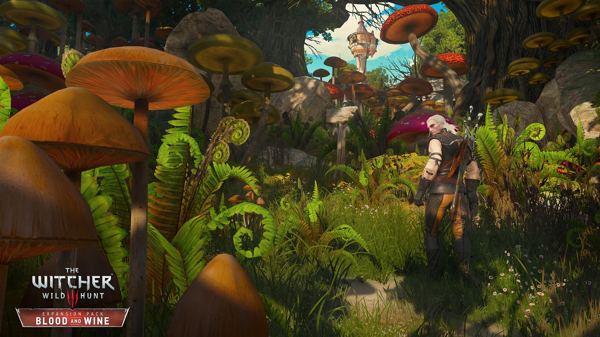 the witcher wild hunt blood and wine