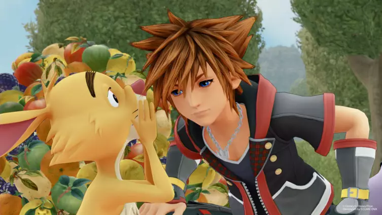 sora et coco lapin