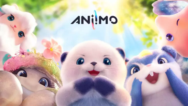 Visuel de Aniimo