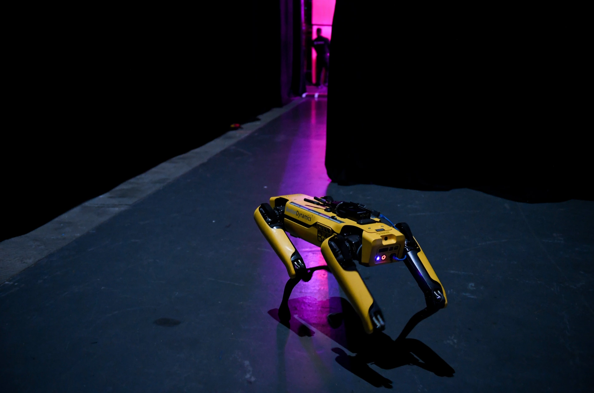 Robot quadrupède SpotMini de Boston Dynamics au Web Summit 2019.