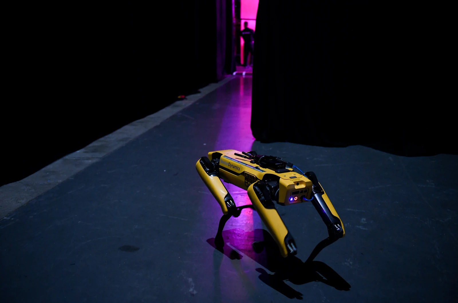 Robot quadrupède SpotMini jaune de Boston Dynamics dans un couloir sombre au Web Summit 2019.